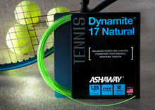 Dynamite 17 Natural